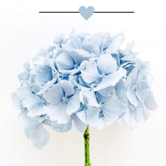 Meet your Posher, Lisa - Picture 1 of 1